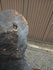 files/660a94209faf1fc8f6fab786.png