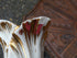 files/661e3ecae39964879f9aa281.png