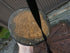 files/6650292acaad67a93f31d234.png