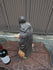 files/6650292ccaad67a93f31d26c.png