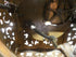 files/6666d5ac1baa19d066536613.png