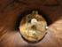 files/667a9d18beefbc3a8311e89f.png