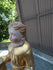 files/667a9d48beefbc3a8311ef52.png