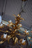 files/681b429a316a4d63ff0d0ed5.png