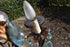 files/681b42a4316a4d63ff0d33bf.png