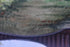 files/6826ca42316a4d63ffb3241a.png