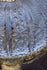 files/682eb6be316a4d63ff167c8a.png