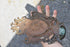 files/682eb6be316a4d63ff167c8e.png