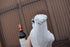 files/682eb6d8316a4d63ff167e4c.png