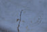 files/6835a161316a4d63ff8f8350.png