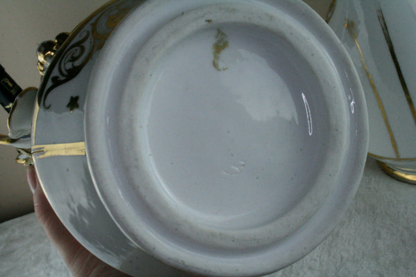 Rare Antique 19thc old paris vieux porcelain Salamander bird Vases dog scene