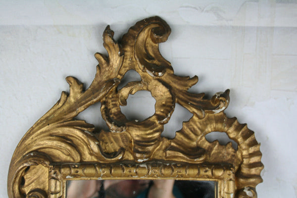Antique Carved wood French louis XV gold gilt mirror 1900