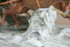 products/57_08bac227-58da-4af0-acd2-e2c9bbe92d2a.jpg