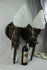 products/57_0c9a0ff6-af0d-4269-a2c0-f885222a675a.jpg