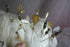 products/57_0d0c03fb-25e6-4517-866c-ec2d88dce16f.jpg