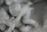 products/57_147e01e2-bfc0-4ca7-aa2c-521670844e99.jpg