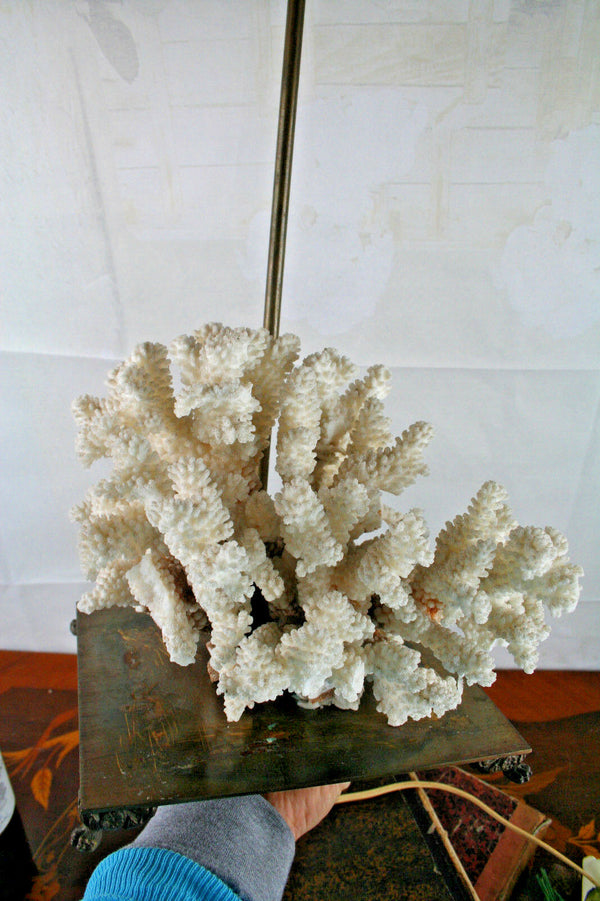 1960's Mid century Table lamp stone Mineral  attr. willy daro