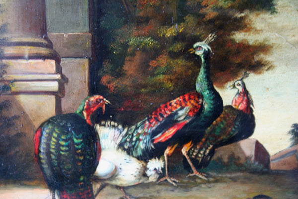 ALBERTUS VERHOESEN Dutch listed artist oil copper peacock chicken painting