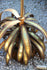 products/57_1a4ac5b8-09de-40c4-958e-7f289805d4f9.jpg