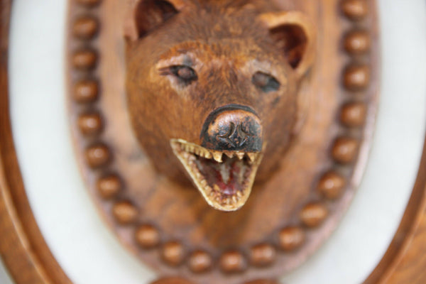 Antique Swiss Wood carved black forest Bear wall plaque panel 1920's