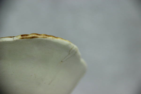 Antique French Mouzin Nimy majolica barbotine asparagus serving tray marked