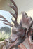 products/57_22c7d2ab-bc10-4c01-b242-1ee8aedb6ccb.jpg