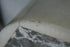 products/57_22f777f2-1932-4eca-90da-04368cbc3227.jpg