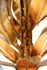 products/57_277accd7-bede-4dab-b3a5-a619240a7130.jpg