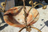 products/57_27e72a38-a9b7-475f-8c58-99c055533f91.jpg
