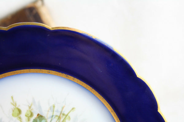 Vintage French 1960 hand paint porcelain floral plate cobalt blue