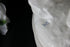 products/57_296d2c0a-c205-4b75-b43d-f276ae1c68cf.jpg