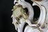 products/57_2ad44c16-ca52-42b1-8e4e-e6923638d40c.jpg