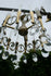 products/57_2e2d92fa-ccd3-4603-b898-7f4f0b429c07.jpg