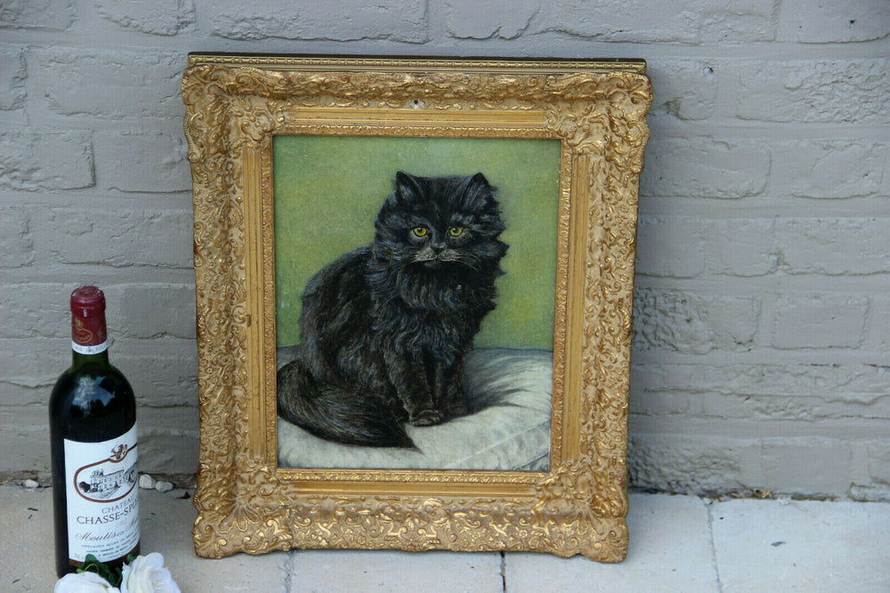 Gorgeous Flemish Oil panel painting of kitten cat portrait signed