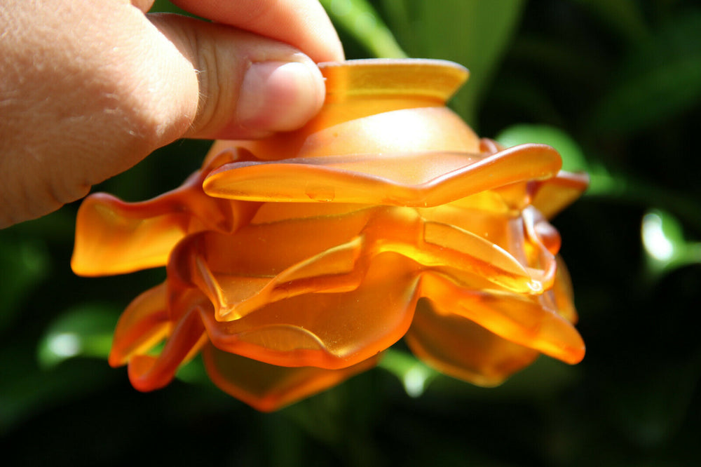 Antique Amber Glass paste tulip Shade replacement part chandelier sconces