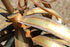 products/57_384fcf8c-b77a-439b-81d8-50f10be45720.jpg
