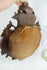 products/57_3c62ca10-4702-403c-98f8-669bd9be79ec.jpg