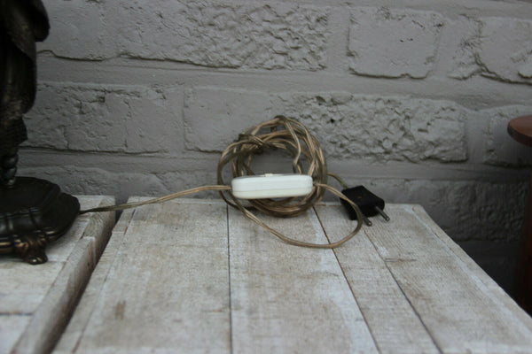 Gorgeous French Spelter bronze putti lamp glass dragon etched pink shade rare