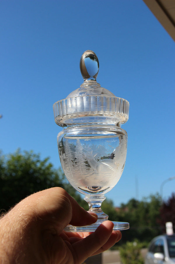 French Crystal Glass etched Hunting deer ducks drageoir sweets box bowl