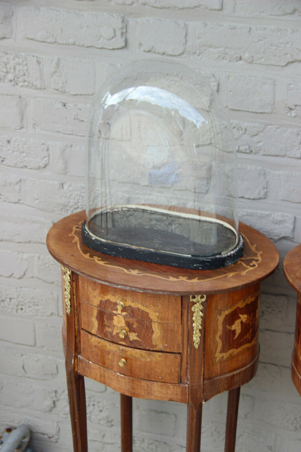 Antique french oval hand blown glass dome globe wood base taxidermy clock