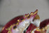 products/57_44e76854-6b9a-40b3-9674-3fc12904ec3a.jpg