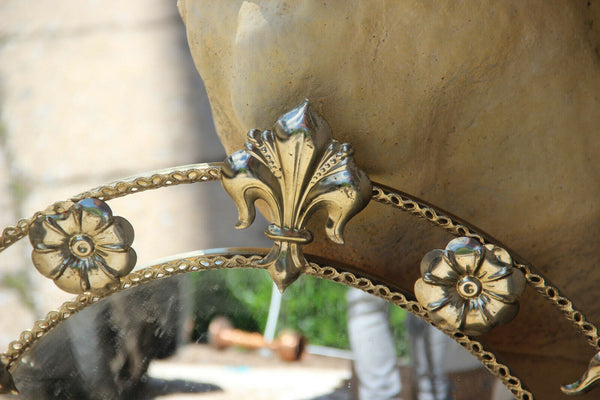 Mid century 1970 MEtal fleur de lys flower Mirror