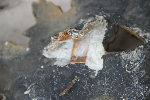 French Antique 19th c Louis XV Pediment Crown Plaster Crest putti angel rare