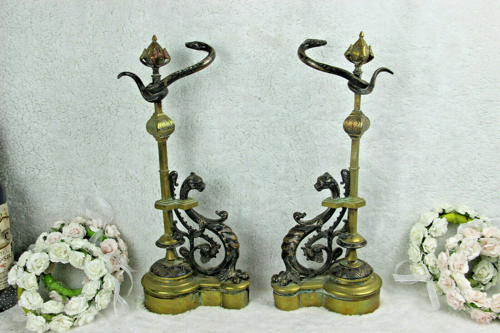 PAIR antique French bronze fireplace andirons Dragon gothic snake Figural
