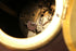 products/57_4aa8e77c-5ce5-498b-a3a7-2ebecad6bc06.jpg