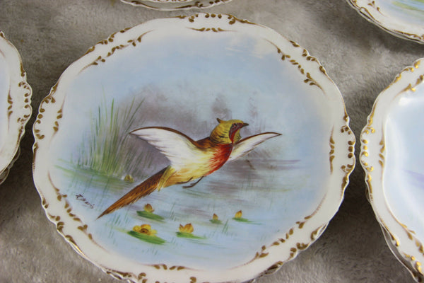 Set 12 French limoges marked porcelain bird pheasant dinner plate signed