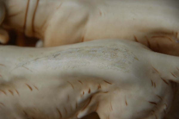 Superb pair antique Royal Dux porcelain hunting dogs group statue 1920s