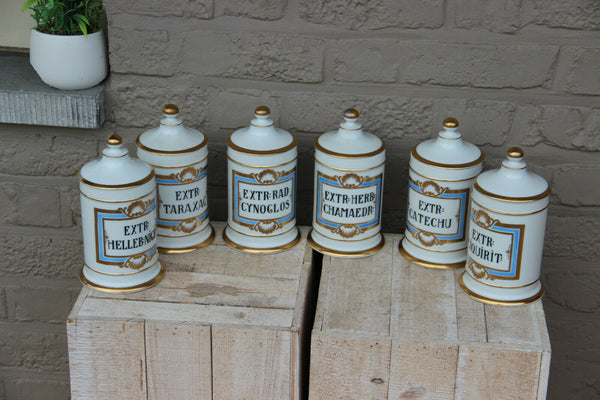 Antique VIEUX BRUSSELS porcelain Set 7 pharmacy pots Latin texts