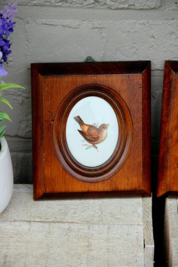 PAIR vintage French limoges porcelain medaillon plaques birds framed