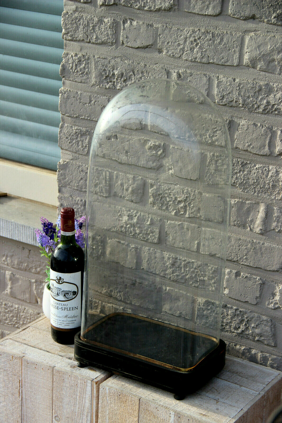 XL 23.6" Antique French victorian oval oblong glass dome globe taxidermy clock